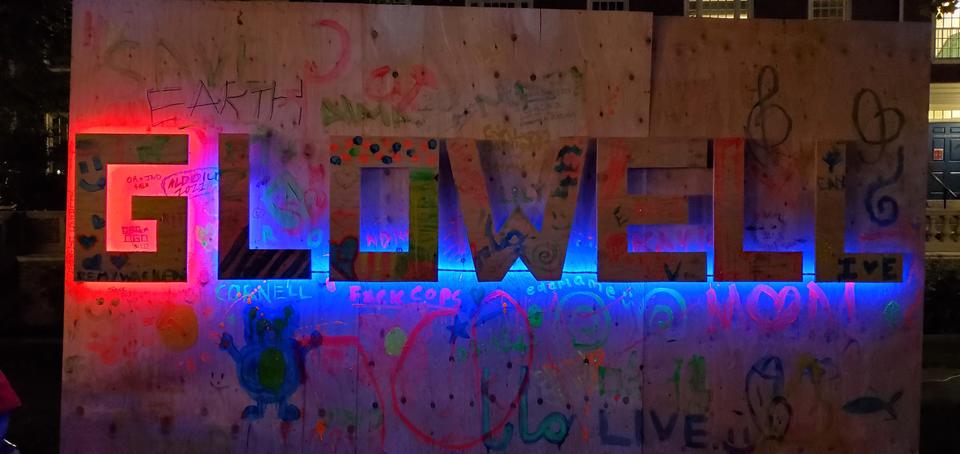 Wooden letters lit up by neon lighting spell the word Glowell